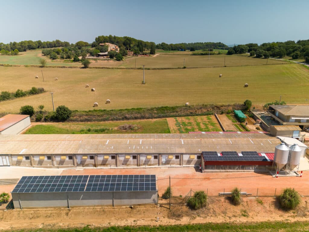 Granja Bahi, situada La Pera, ha confiado en Fotovol para llevar a cabo un sistema fotovoltaico con una potencia de 91 kWp.