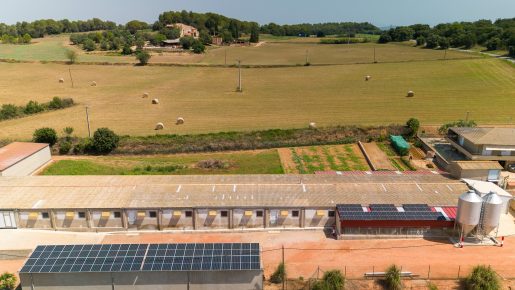 Granja Bahi, situada La Pera, ha confiado en Fotovol para llevar a cabo un sistema fotovoltaico con una potencia de 91 kWp.